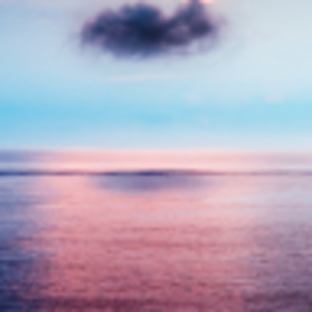 Meet your Posher, Nivy